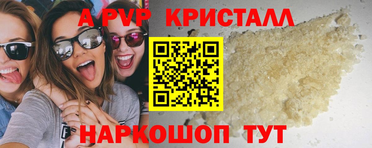 A PVP СК Вологда