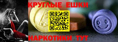 СК Дубна