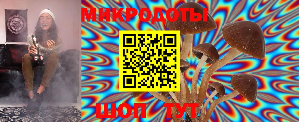 Псилоцибиновые грибы Psilocybine cubensis  Вход с VPN  Вологда 
